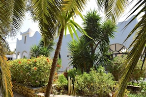 A white building with a clock tower, surrounded by palm trees and various plants. - Charming villa with private pool and cooker (ESSAOUIRA)