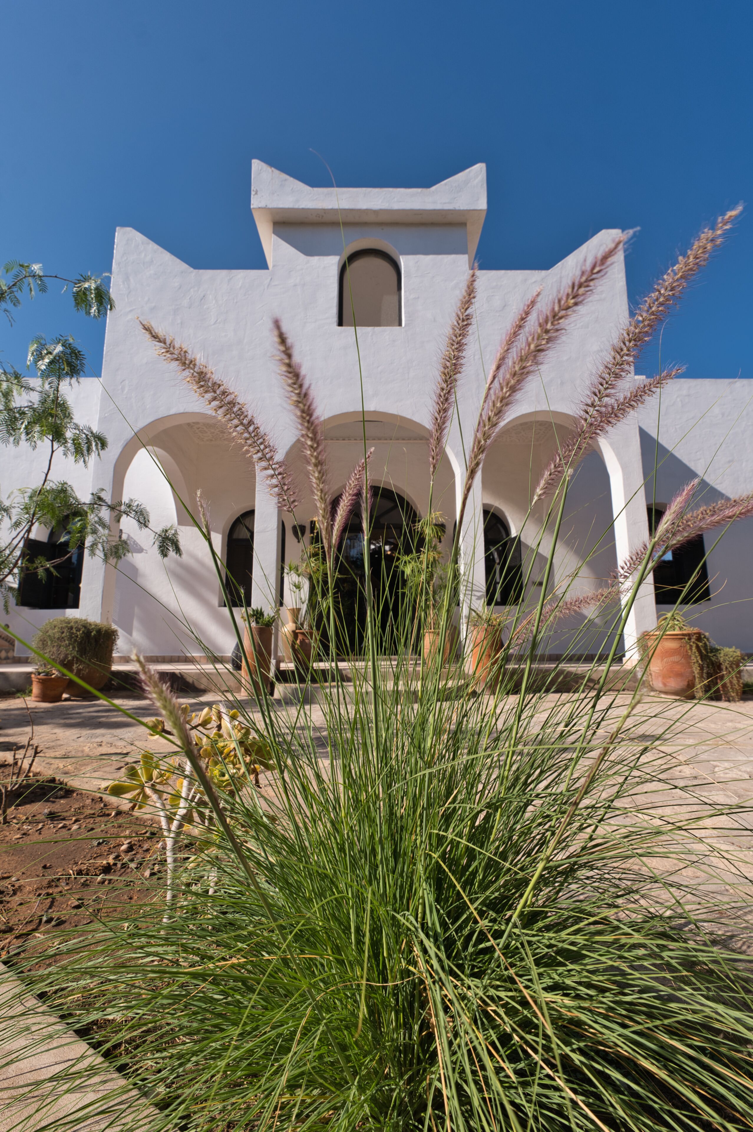 Un bâtiment blanc, orné d’arches et doté d’une fenêtre centrale, entouré de plantes en pot et d’herbes hautes.