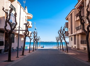 Une rue pavée bordée d’arbres et d’immeubles, qui mène à une plage.