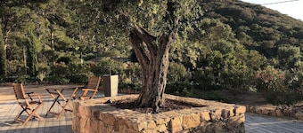 Villa with heated pool between Porto Vecchio and Bonifacio 10 minutes from the beaches