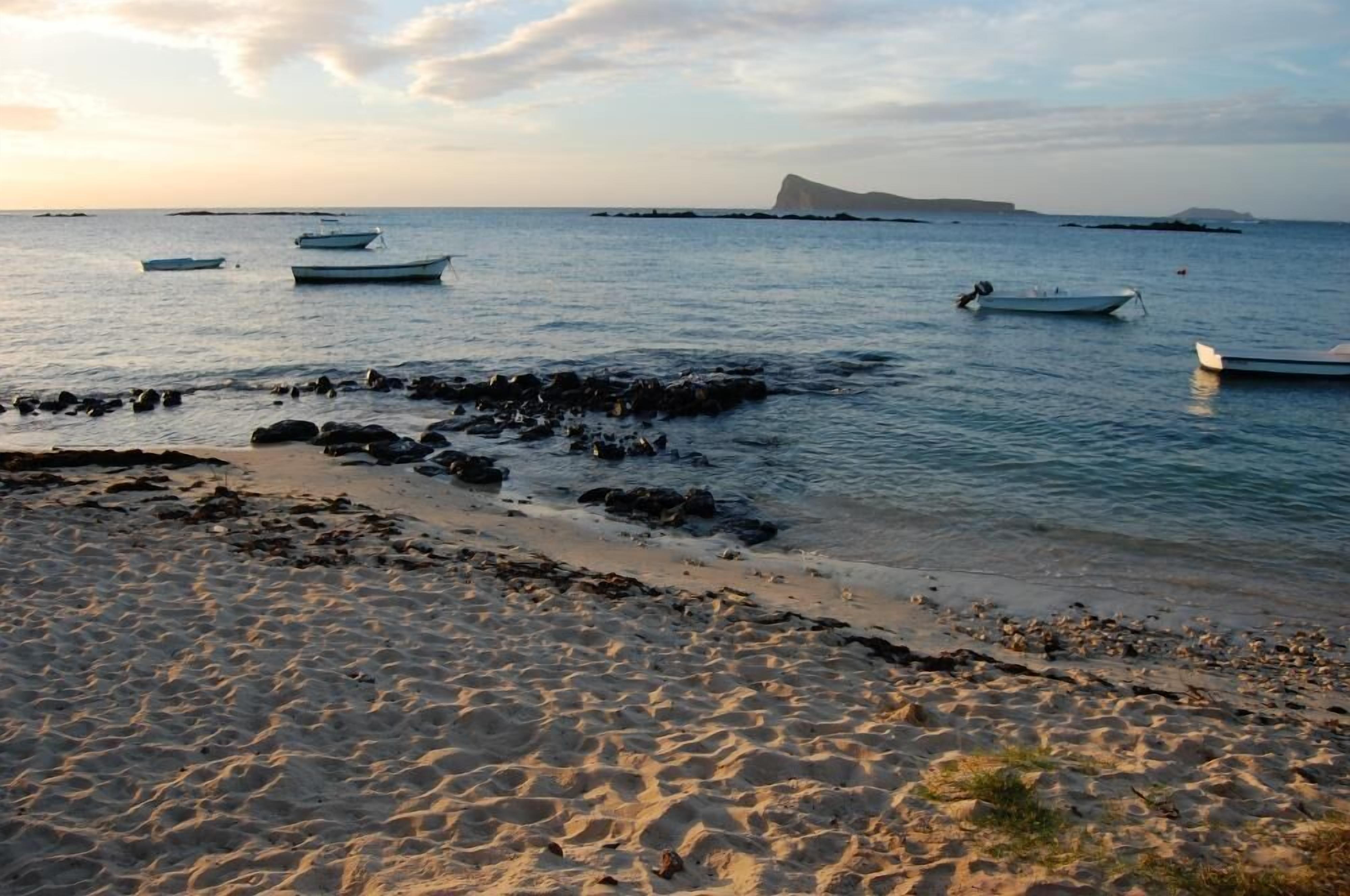 Plage, chaises longues, serviettes de plage