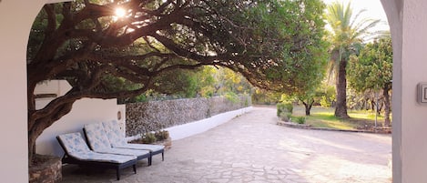 An outdoor seating area with stone flooring, a stone wall, and a large tree providing shade.