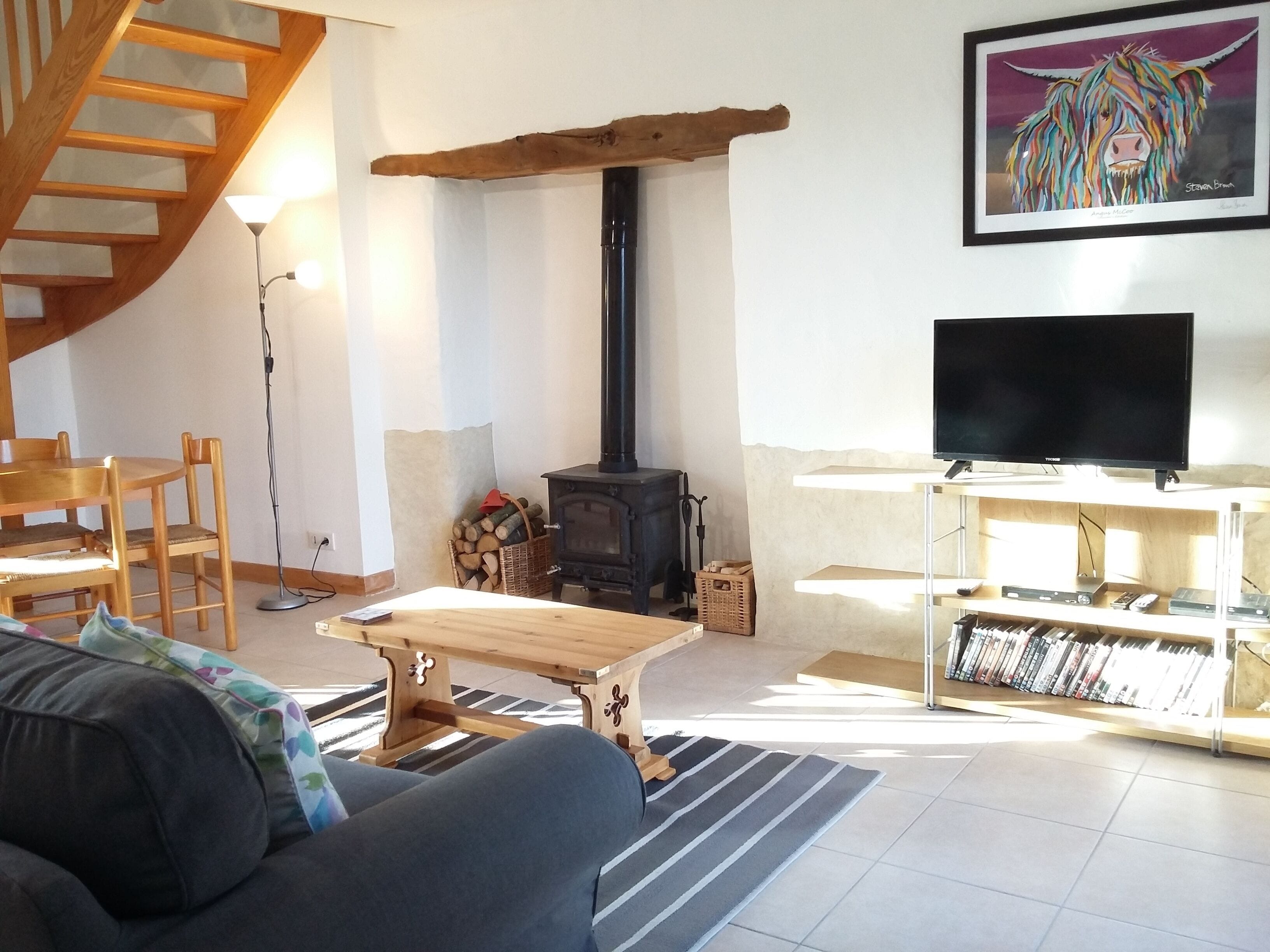 Télévision, lecteur de DVD, livres