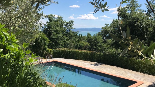 Une piscine rectangulaire bordée de carreaux, entourée d’une végétation luxuriante et offrant une vue sur la mer.