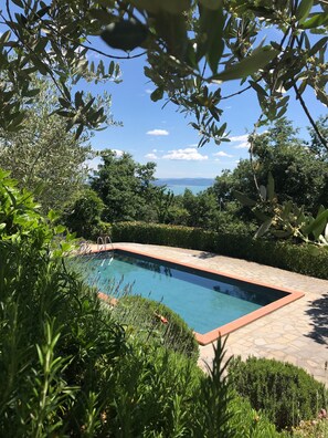 Una piscina rectangular con borde de azulejos, rodeada de abundante vegetación y vistas al mar.