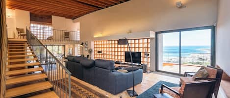 Smart TV, chimenea, reproductor de DVD y libros
