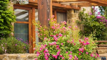 DĂ©tail de lâextĂ©rieur