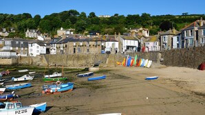A coastal town with stone buildings, a sandy beach, and boats. - Delightful quiet space, very close to the town & promenade.  (Penzance)