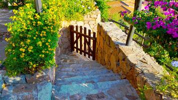 Terrein van de accommodatie