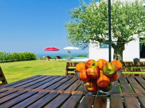 Outdoor dining - Beautiful private villa for 8 guests with WIFI, A/C, private pool, TV, patio and panoramic view (Porec)