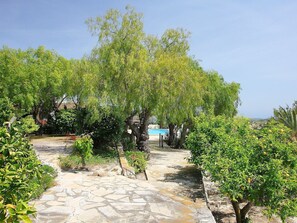 Property grounds - Wonderful private villa for 10 guests with WIFI, private pool, A/C, TV, patio and panoramic view (Benissa)