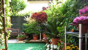 Ein Garten mit verschiedenen Topfpflanzen und einer kleinen Rasenfläche.