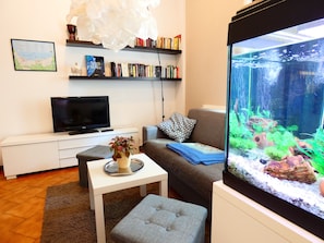 TV, books