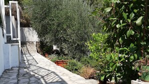 Un viale in pietra conduce a un edificio bianco con un giardino ricco di piante e alberi.