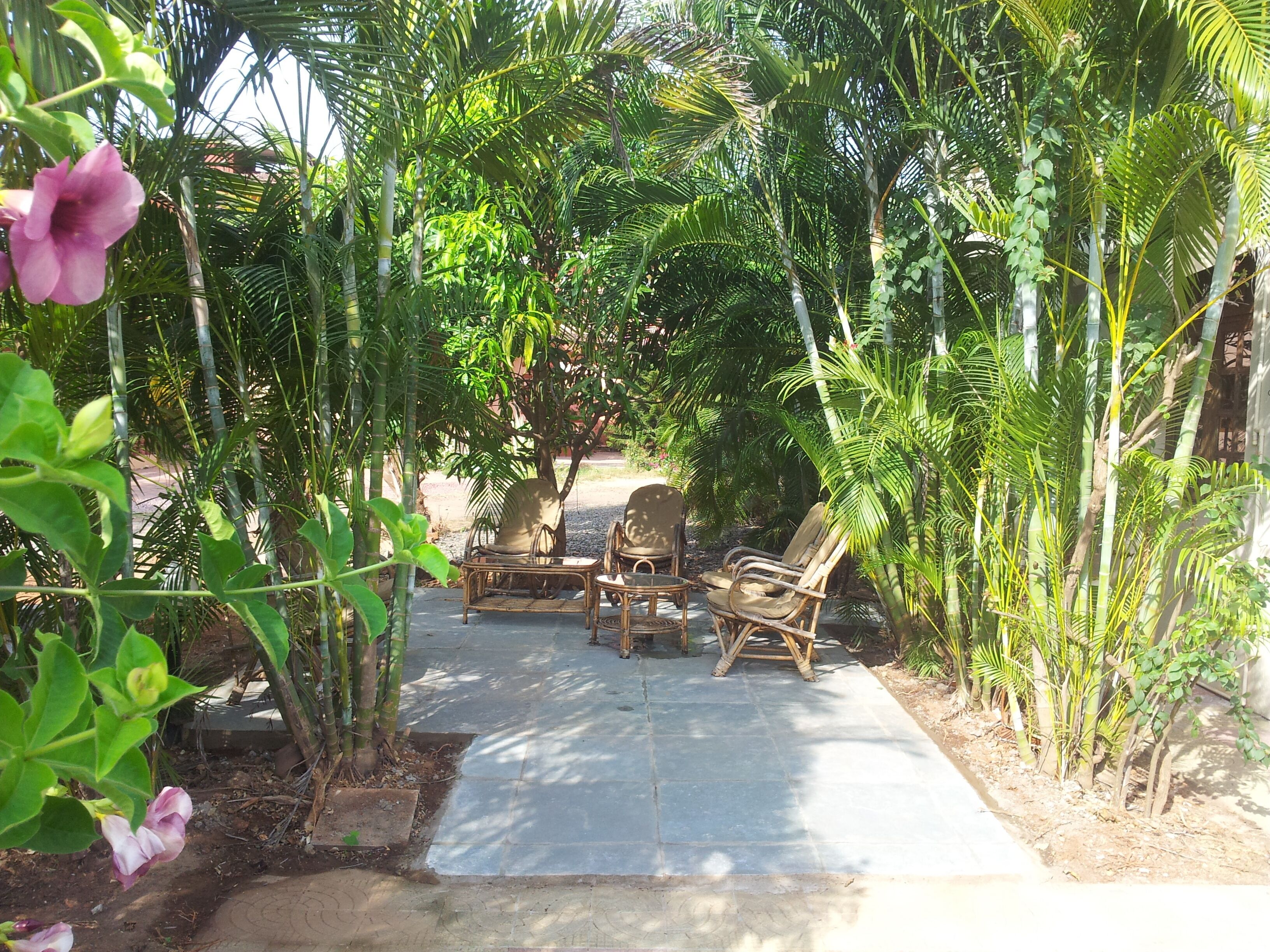 Large Shaded Private Patio Area with Cane Furniture 