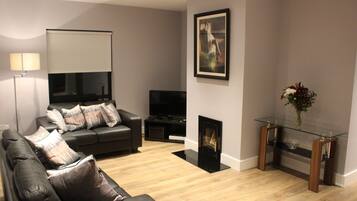 TV, fireplace, DVD player, video library