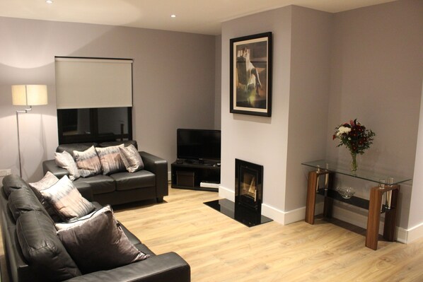 TV, fireplace, DVD player, video library