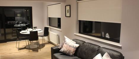 テレビ、暖炉、DVD プレーヤー、ビデオライブラリ