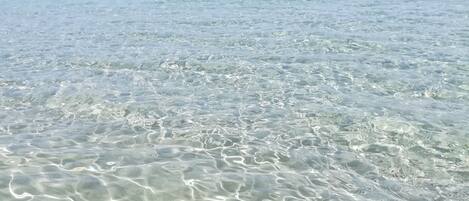 Una spiaggia nelle vicinanze, lettini da mare