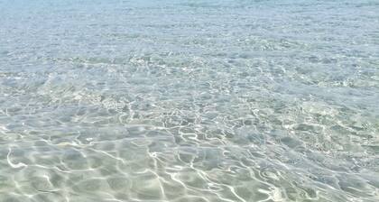 BABY HOUSE - bilo with separate courtyard/apartment with private area<br>IUN P5263