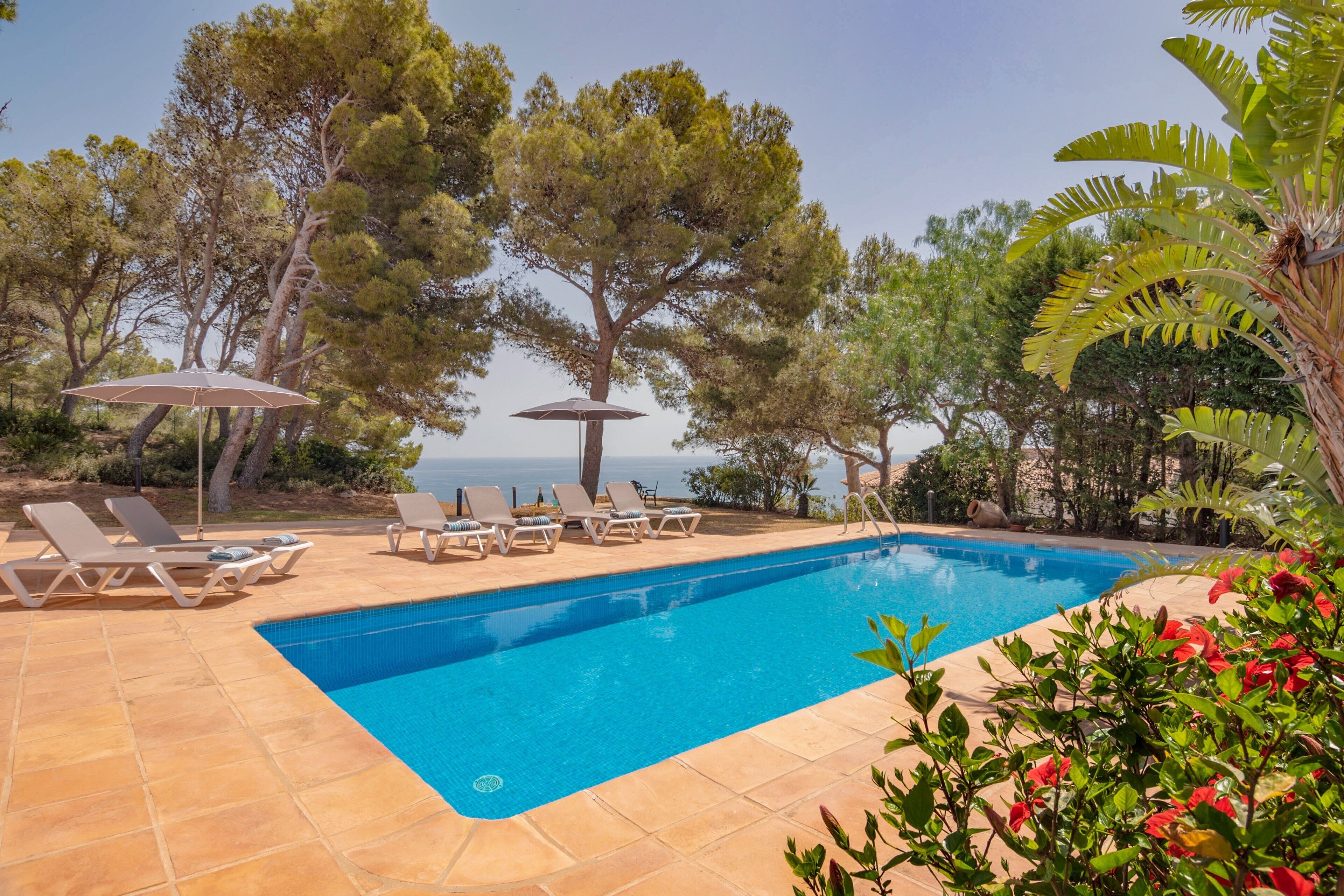 Une piscine dotée de chaises longues et de parasols, entourée d’arbres et offrant une vue sur la mer.