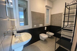 Shower, hair dryer, bidet, towels