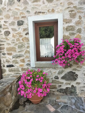 Détail de l’extérieur