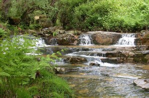 Property grounds - The Caleyon, village house with breakfast. Rooms with private bathroom. (Bulnes de Cabrales)