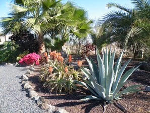 Terrein van de accommodatie