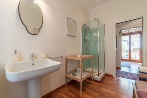 Shower, hair dryer, bidet, towels