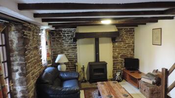 Televisie, een open haard, een dvd-speler en boeken