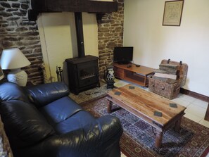 TV, fireplace, DVD player, books