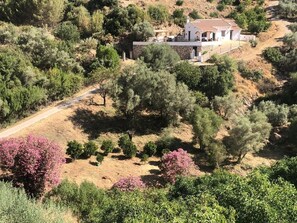 المنشأة من الخارج