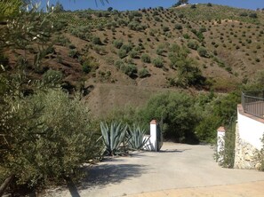 المنطقة المحيطة بالمنشأة