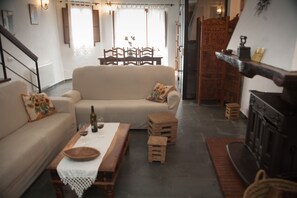 TV, fireplace, books