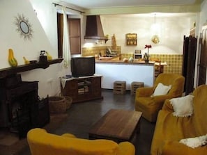 TV, fireplace, books