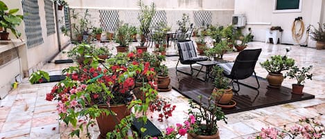 Jardines del alojamiento