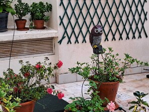 Detalle exterior