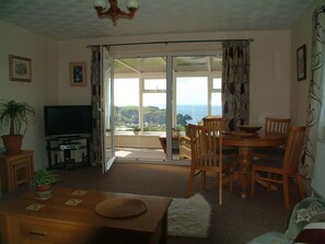 TV, DVD player, books, video library
