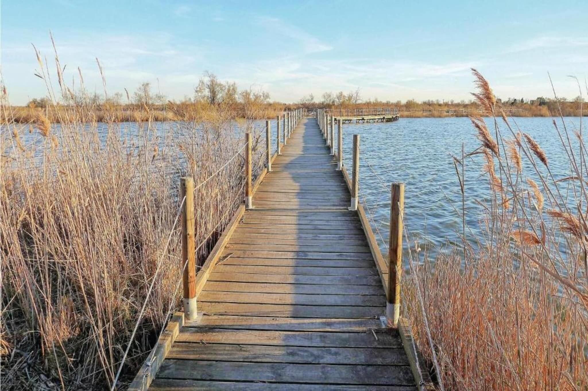 Une jetée en bois s’étendant dans une étendue d’eau, entourée de hautes herbes.