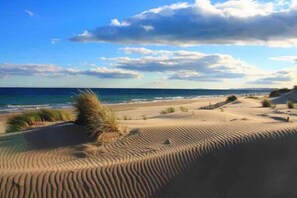 Ein Strand mit Dünen und dem Meer im Hintergrund.