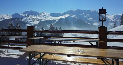Luxury private chalet in Saalbach-Hinterglemm Ideal for family groups and groups