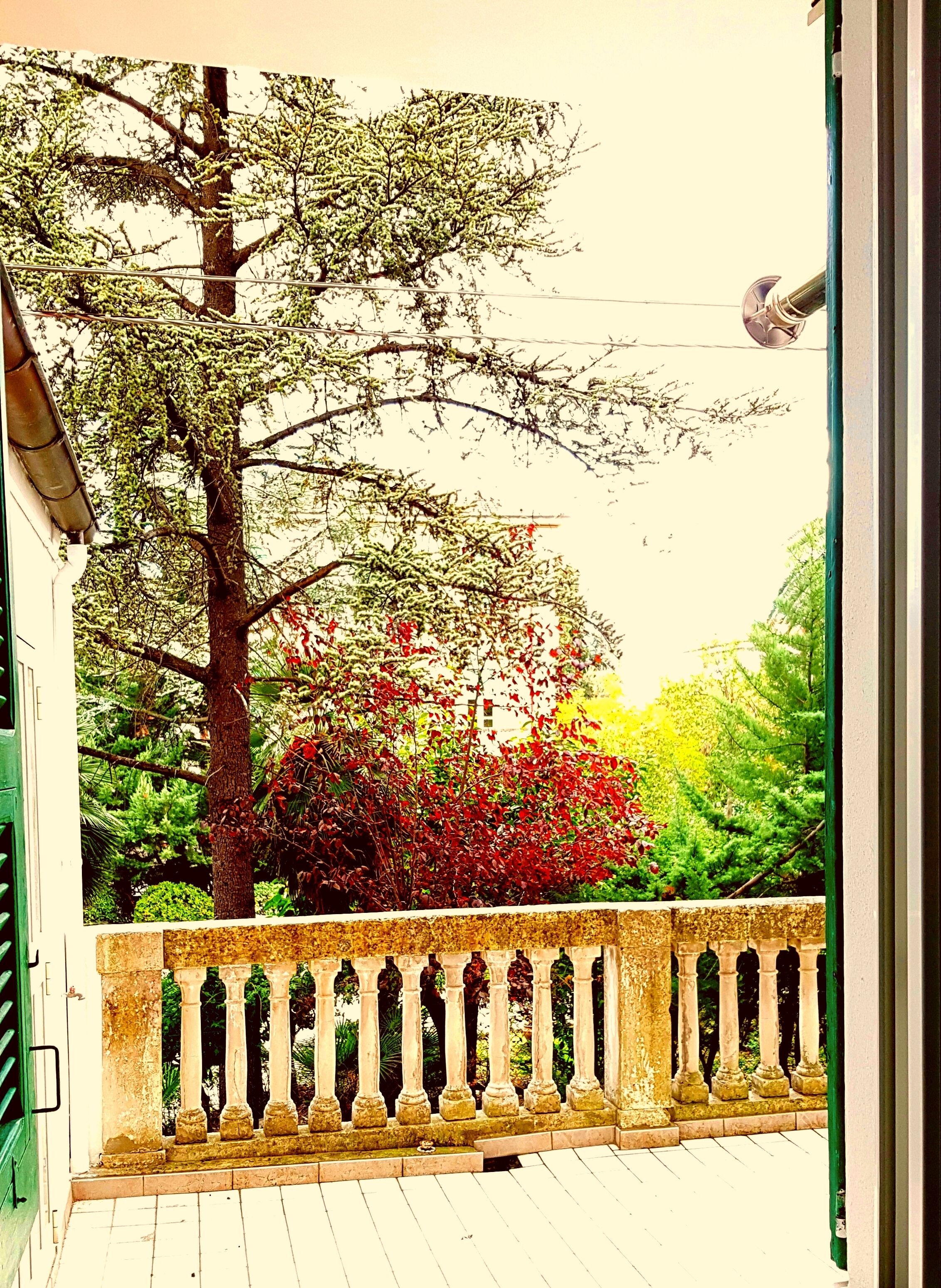 I Cappuccini b & b - Apartment with terrace