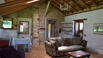 TV, fireplace, DVD player, ping pong