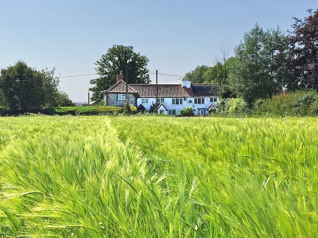 Delightful cottage at the heart of the Norfolk Broads, sleeps 4, dog friendly