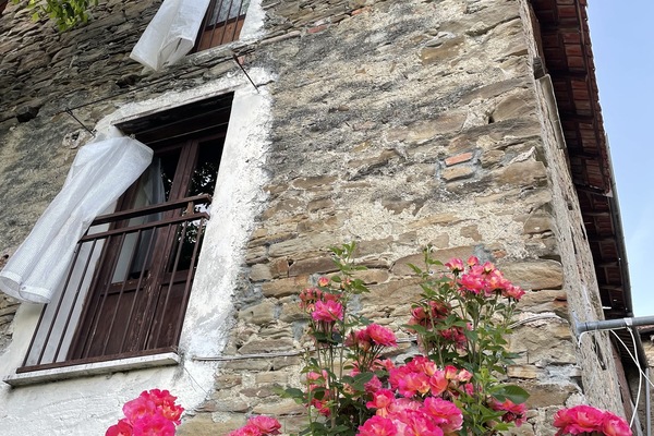 Detalle del exterior