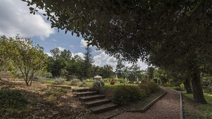 A pathway leading through a garden with steps, surrounded by various plants and trees.