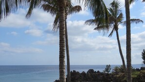 A beach with palm trees and rocky outcrops. - Front line, contemporary,  refurbished, stunning sea views, pool, WiFi, SKY (Puerto del carmen)