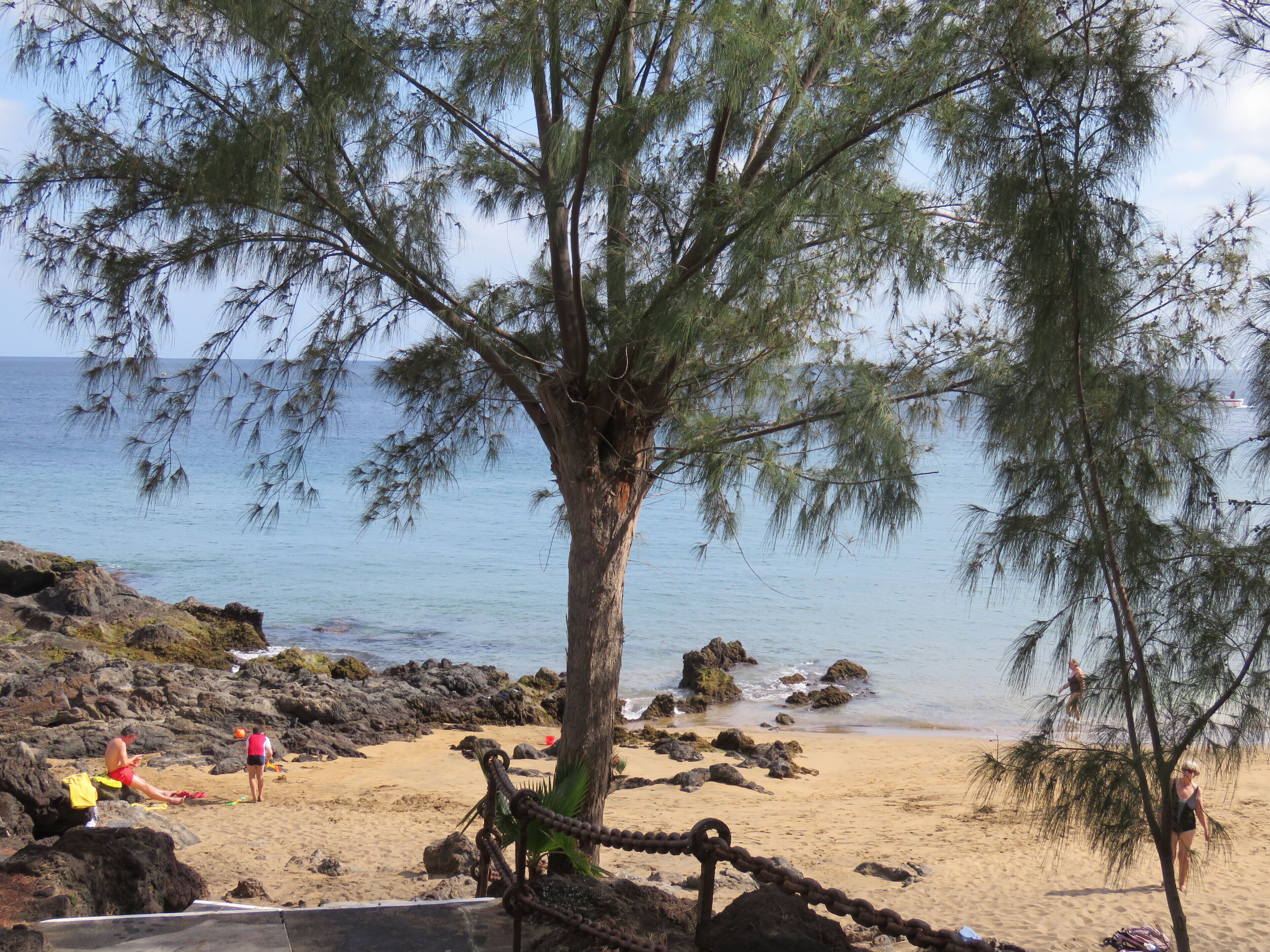 Une plage avec un grand arbre au premier plan, une côte rocheuse et une mer calme.