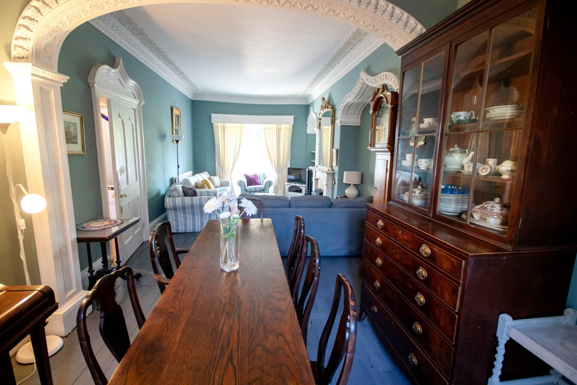 電視、壁爐、DVD 播放機、書籍